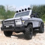 Surpass Wild 4WD Crawler 1/10 RTR