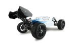Planet Pro 4WD Buggy Schaal 1 op 8! RTR 1:8, Wit met blauw